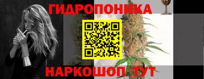 круглые Лесосибирск