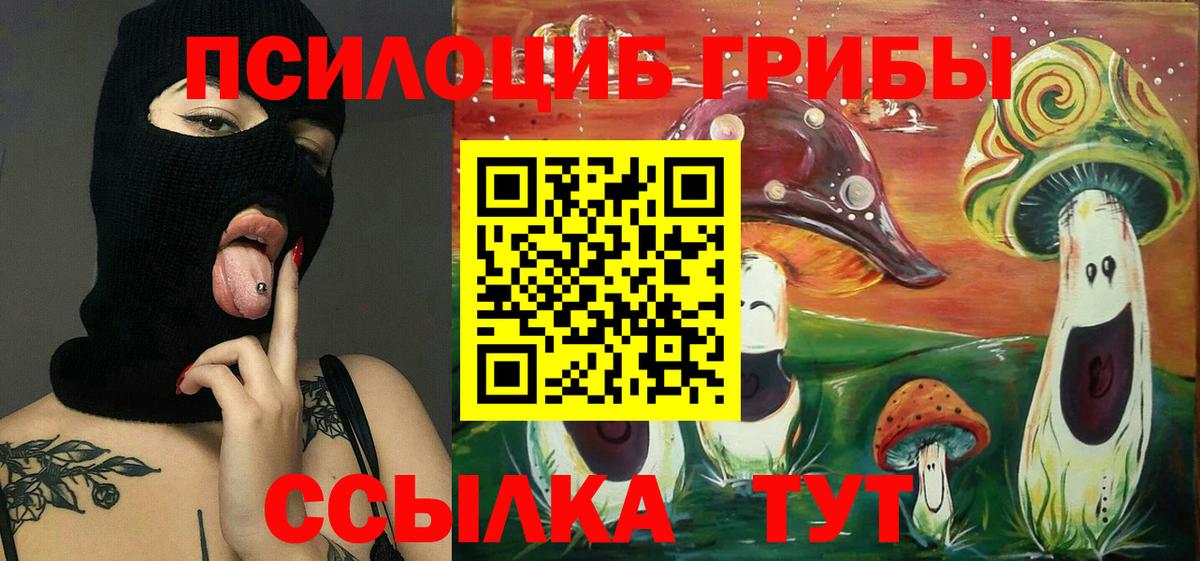 Псилоцибиновые грибы Cubensis  Вход с VPN  Калининград 