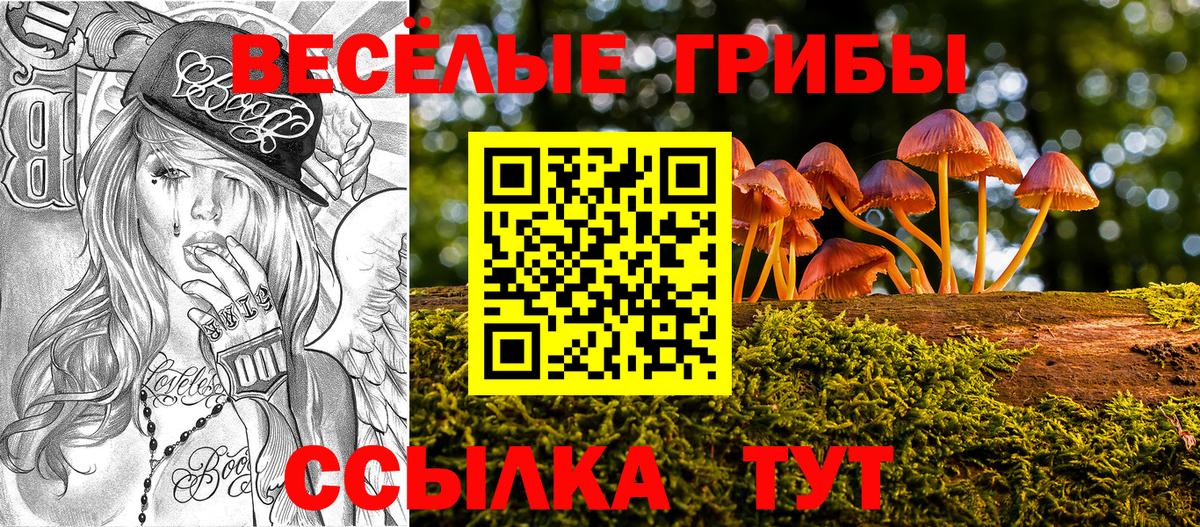 Псилоцибиновые грибы GOLDEN TEACHER Калининград